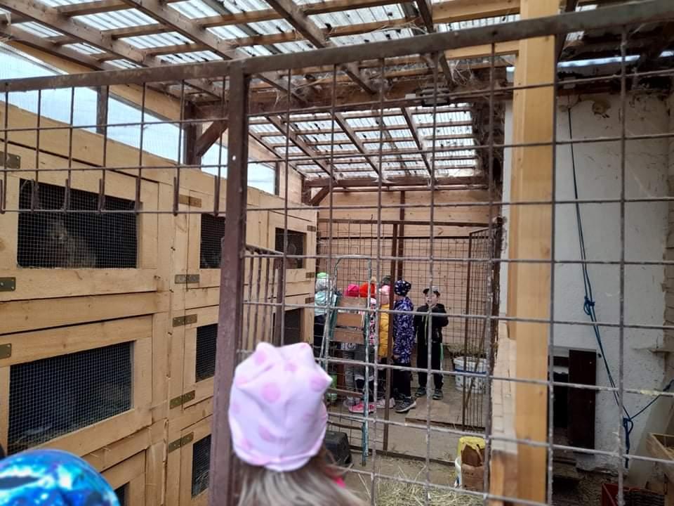 ŠD - návštěva hospodářství u Novotných - 34