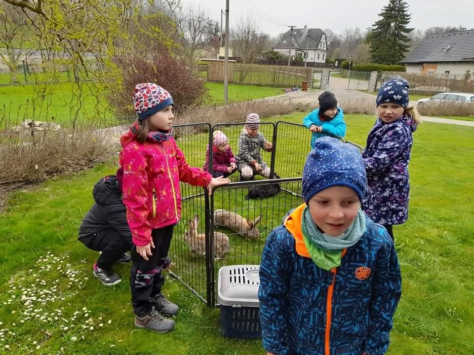 ŠD - návštěva hospodářství u Novotných - 40