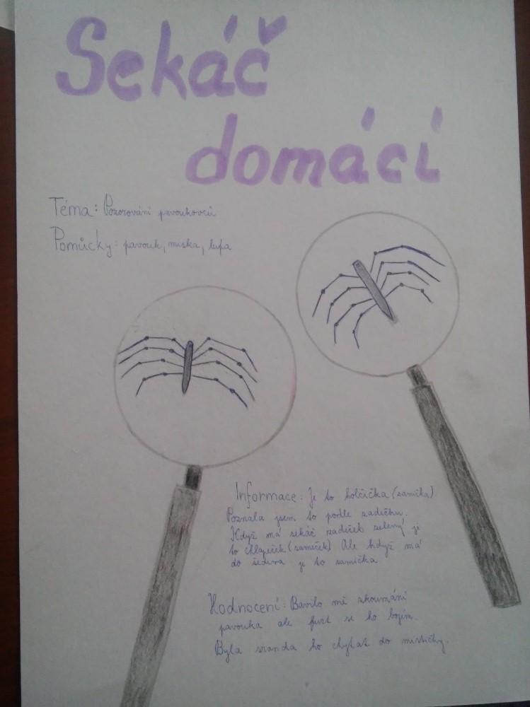Pozorování pavoukovců - žáci 6. tříd - 10