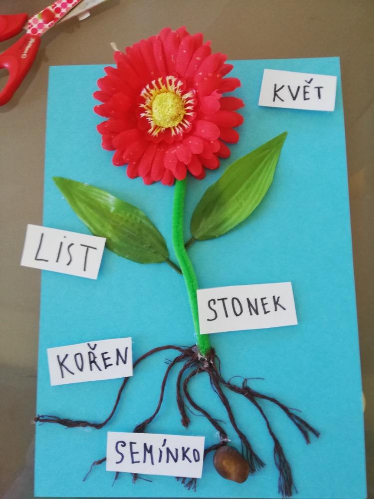 Aktivity druháčků v rámci domácího učení - 16