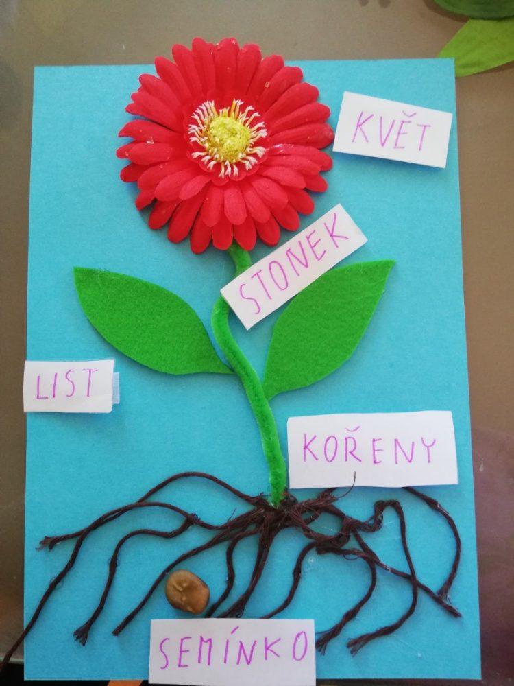 Aktivity druháčků v rámci domácího učení - 17